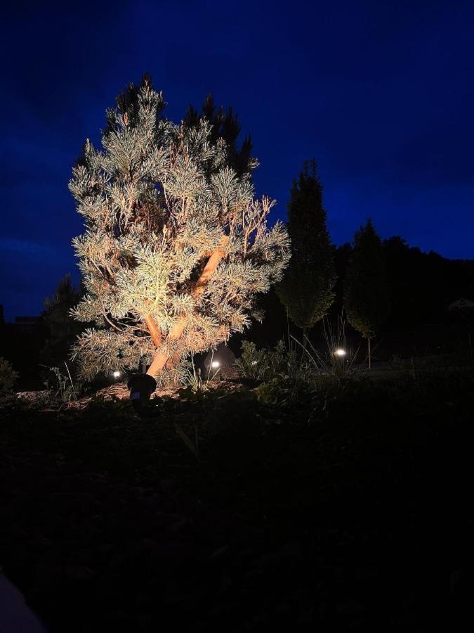 Chalet Deluxe Freyung Dış mekan fotoğraf