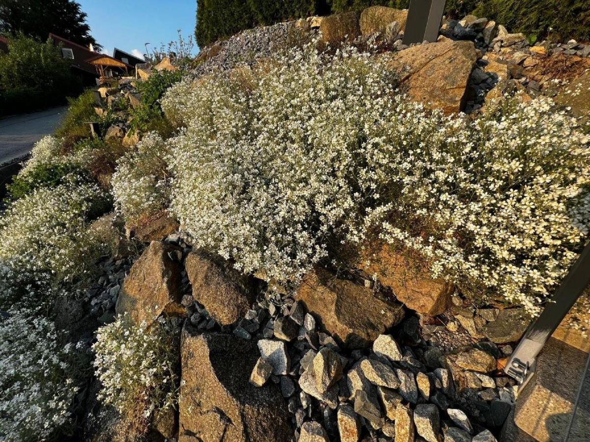 Chalet Deluxe Freyung Dış mekan fotoğraf